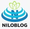 پرستوی آسمان